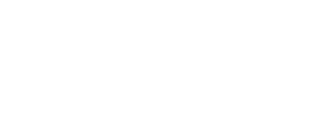 Shadows of the Ten Ninja logo
