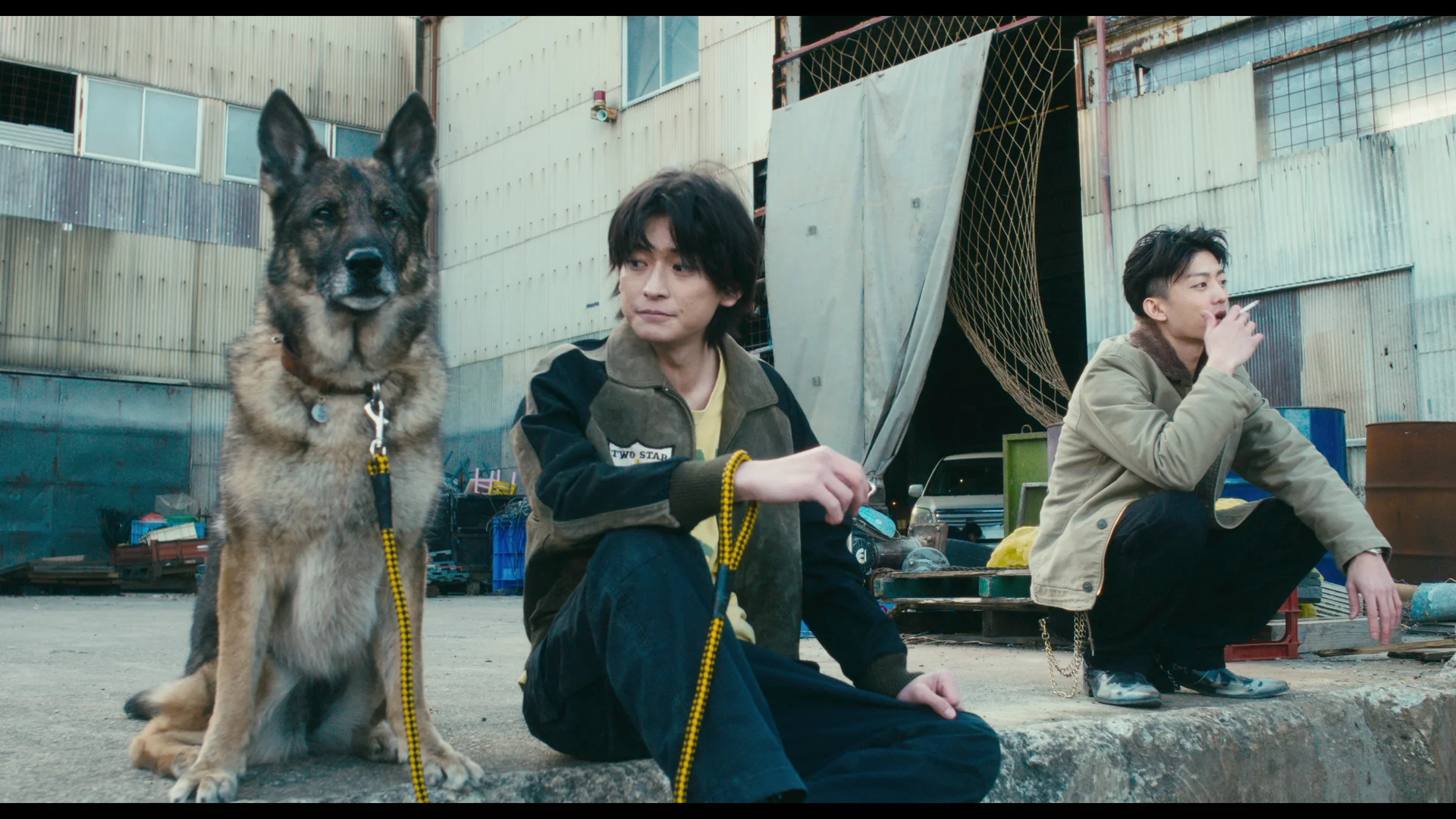 The Boy and the Dog