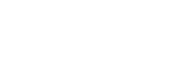 The Flood logo