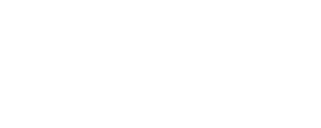 Secret Delivery logo