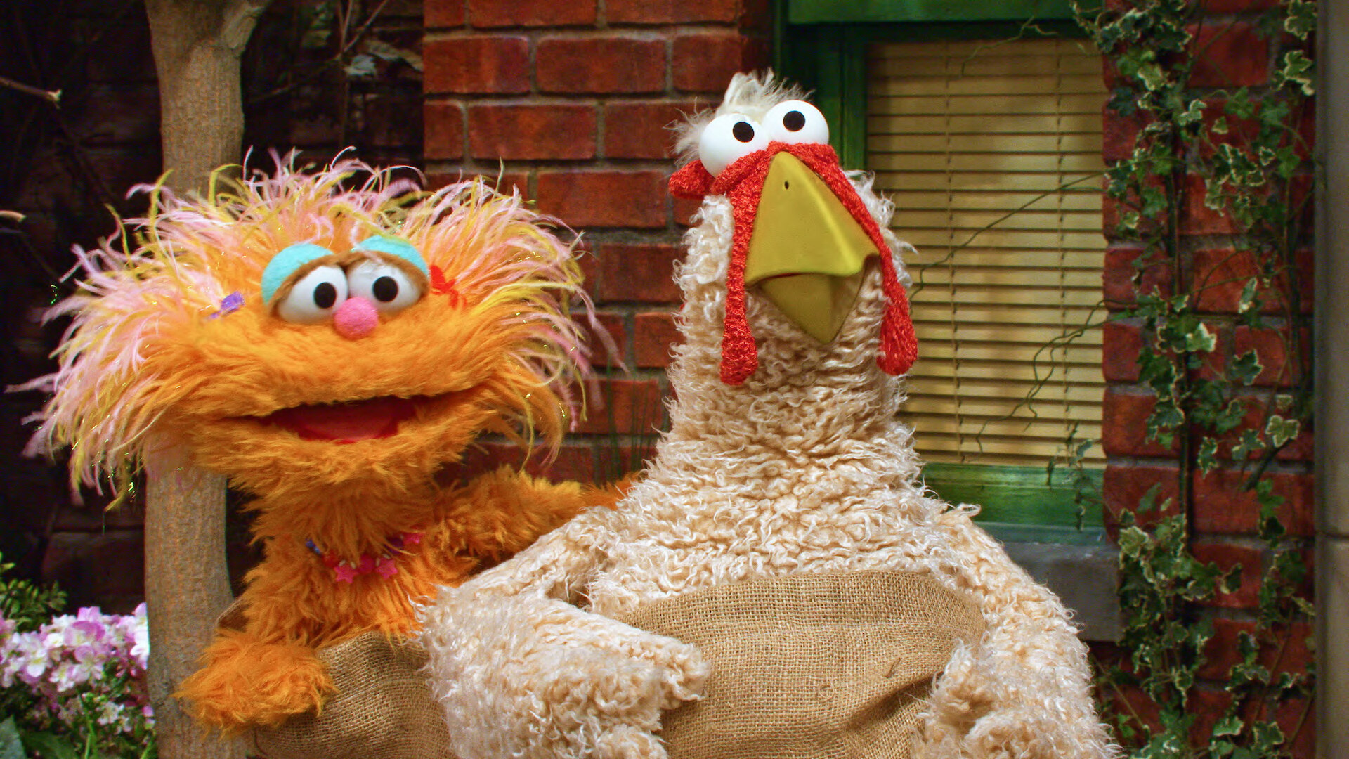 Sesame Street