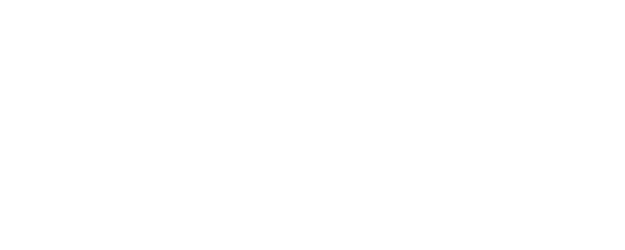 Brain Academy logo