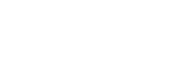 The Commandant's Shadow logo