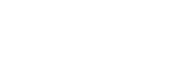 Never Say Die logo