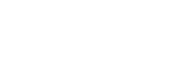The Villager of Level 999 logo