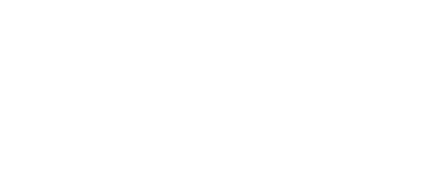 Salon de Nabi logo
