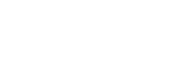 Sleepless in Seattle logo
