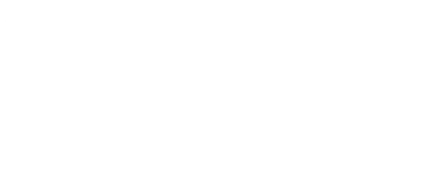 Sleepless in Seattle logo