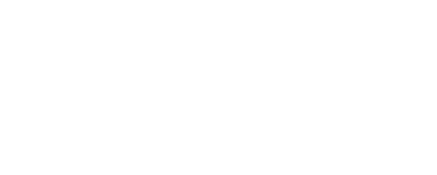Speed logo
